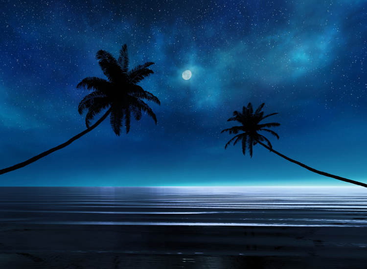 Soirée à Thème - Nuit des Caraïbes